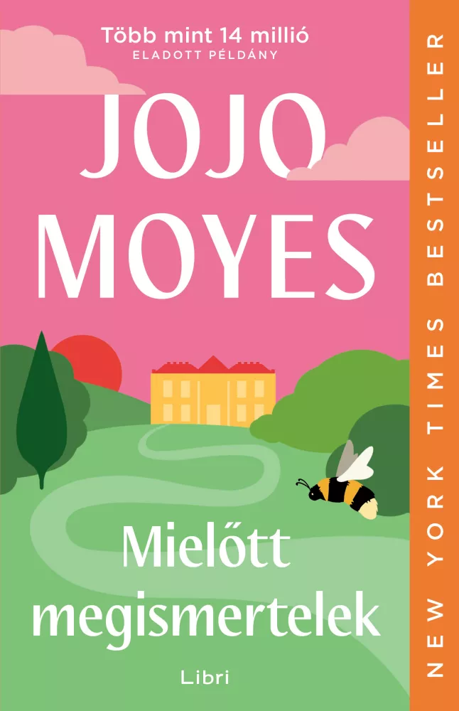 Mielőtt megismertelek borító